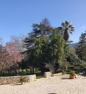 La foresteria di Villa Mirto mimosa